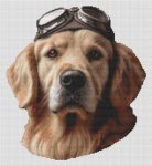 (image for) Pilot Close-Up
